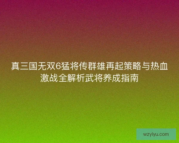 真三国无双6猛将传群雄再起策略与热血激战全解析武将养成指南
