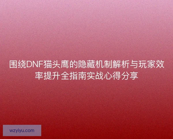 围绕DNF猫头鹰的隐藏机制解析与玩家效率提升全指南实战心得分享