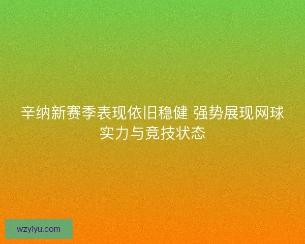 辛纳新赛季表现依旧稳健 强势展现网球实力与竞技状态