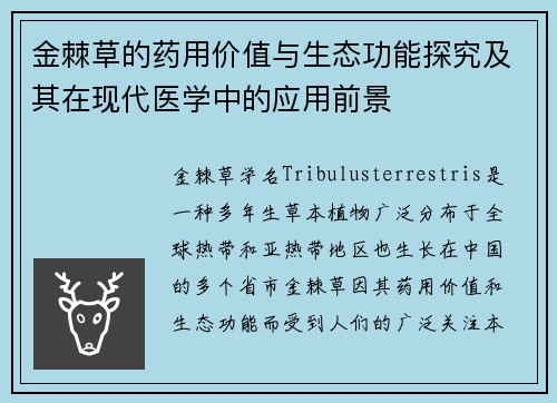 金棘草的药用价值与生态功能探究及其在现代医学中的应用前景